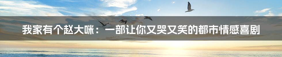 我家有个赵大咪:一部让你又哭又笑的都市情感喜剧