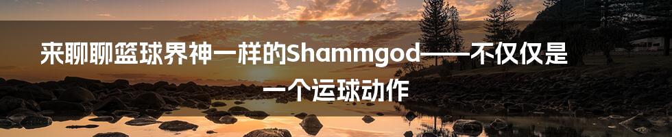 来聊聊篮球界神一样的Shammgod——不仅仅是一个运球动作