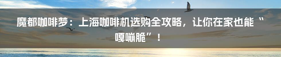 魔都咖啡梦:上海咖啡机选购全攻略,让你在家也能“嘎嘣脆”!