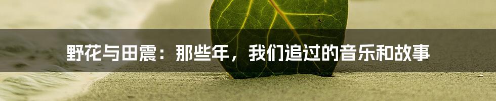 野花与田震:那些年,我们追过的音乐和故事