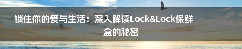 锁住你的爱与生活:深入解读Lock&Lock保鲜盒的秘密