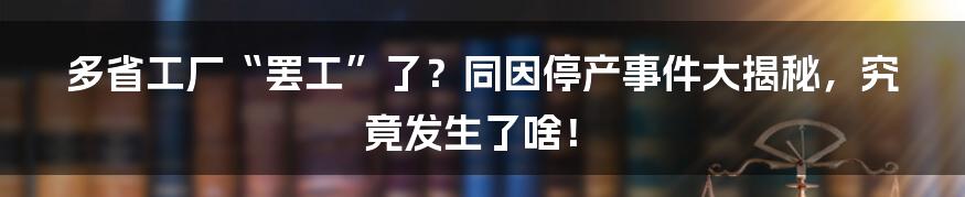 多省工厂“罢工”了?同因停产事件大揭秘,究竟发生了啥!