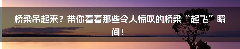 桥梁吊起来?带你看看那些令人惊叹的桥梁“起飞”瞬间!