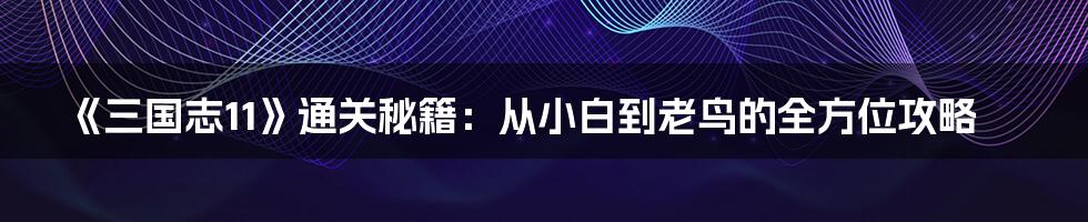 《三国志11》通关秘籍:从小白到老鸟的全方位攻略