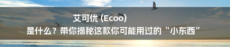 艾可优 (Ecoo) 是什么?带你揭秘这款你可能用过的“小东西”