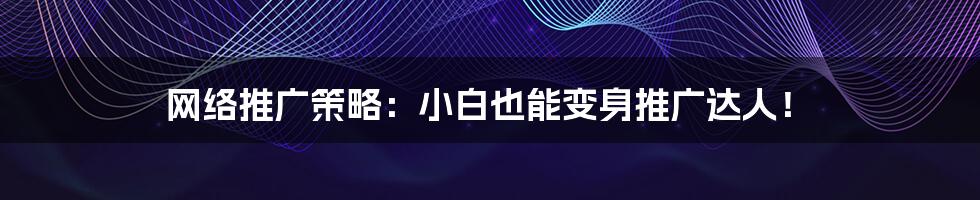 网络推广策略：小白也能变身推广达人！