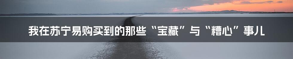 我在苏宁易购买到的那些“宝藏”与“糟心”事儿