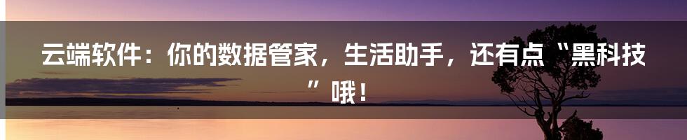 云端软件:你的数据管家,生活助手,还有点“黑科技”哦!