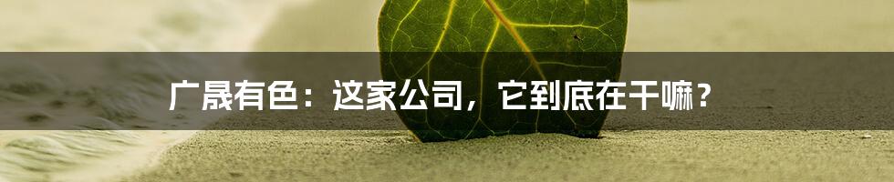 广晟有色：这家公司，它到底在干嘛？