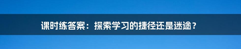 课时练答案:探索学习的捷径还是迷途?