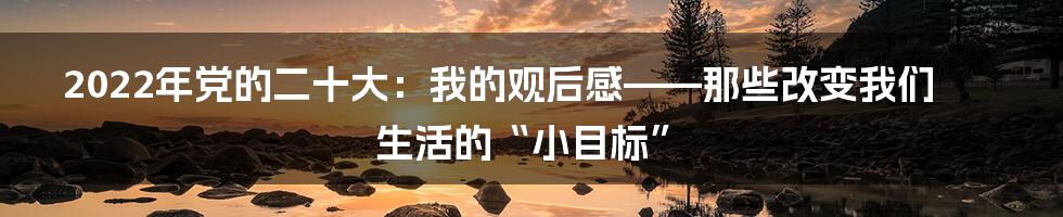 2022年党的二十大：我的观后感——那些改变我们生活的“小目标”