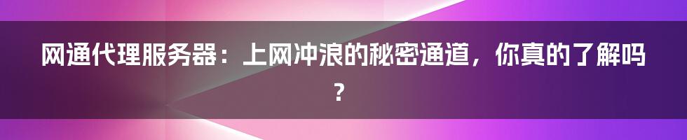 网通代理服务器:上网冲浪的秘密通道,你真的了解吗?