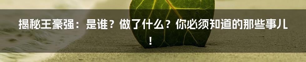 揭秘王豪强:是谁?做了什么?你必须知道的那些事儿!