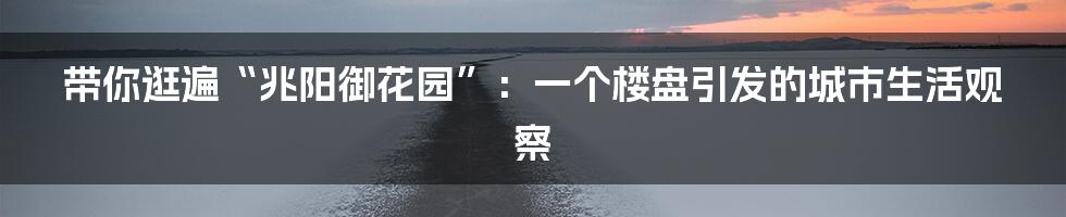 带你逛遍“兆阳御花园”:一个楼盘引发的城市生活观察
