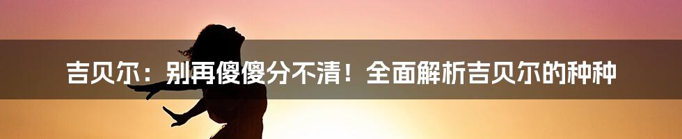 吉贝尔：别再傻傻分不清！全面解析吉贝尔的种种