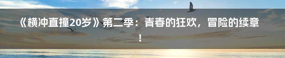 《横冲直撞20岁》第二季：青春的狂欢，冒险的续章！
