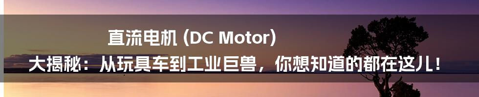 直流电机 (DC Motor) 大揭秘:从玩具车到工业巨兽,你想知道的都在这儿!