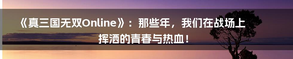 《真三国无双Online》:那些年,我们在战场上挥洒的青春与热血!