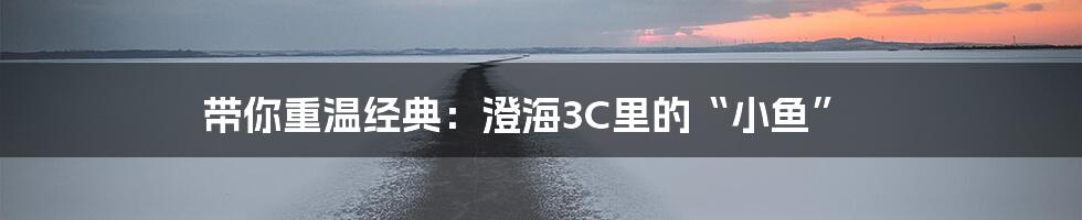 带你重温经典：澄海3C里的“小鱼”