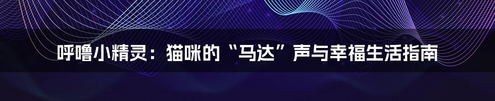 呼噜小精灵：猫咪的“马达”声与幸福生活指南