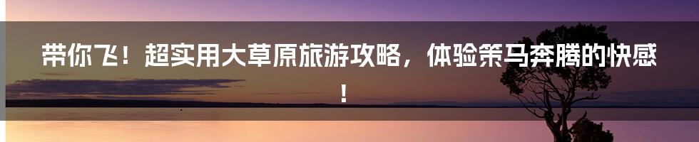 带你飞！超实用大草原旅游攻略，体验策马奔腾的快感！