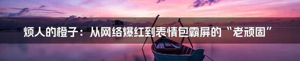 烦人的橙子:从网络爆红到表情包霸屏的“老顽固”