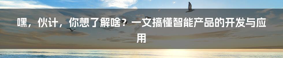 嘿,伙计,你想了解啥?一文搞懂智能产品的开发与应用