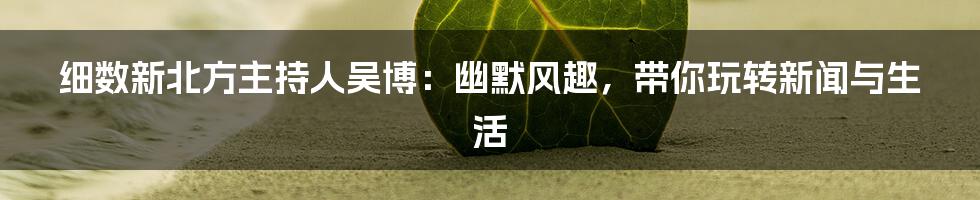 细数新北方主持人吴博:幽默风趣,带你玩转新闻与生活