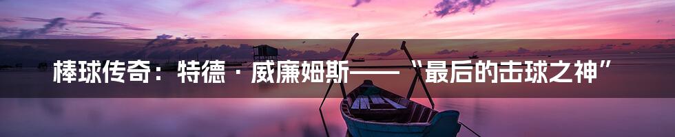 棒球传奇:特德·威廉姆斯——“最后的击球之神”