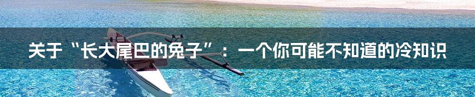 关于“长大尾巴的兔子”:一个你可能不知道的冷知识