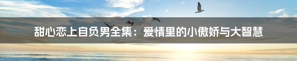 甜心恋上自负男全集:爱情里的小傲娇与大智慧