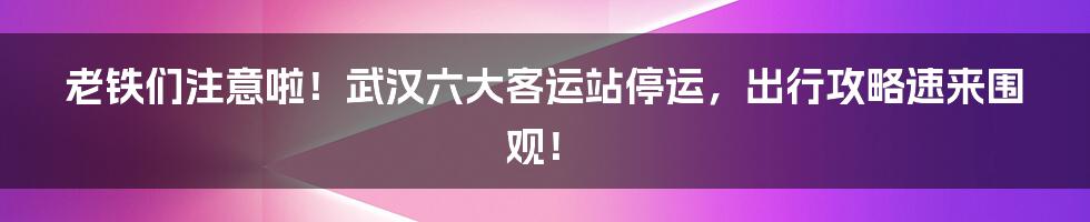 老铁们注意啦!武汉六大客运站停运,出行攻略速来围观!