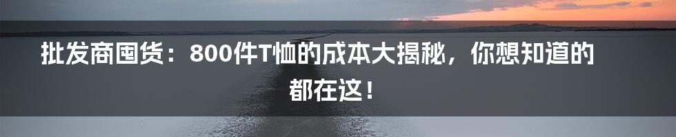 批发商囤货:800件T恤的成本大揭秘,你想知道的都在这!