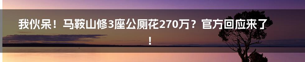 我伙呆!马鞍山修3座公厕花270万?官方回应来了!