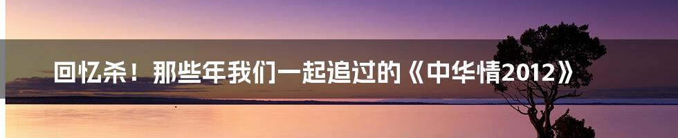 回忆杀!那些年我们一起追过的《中华情2012》