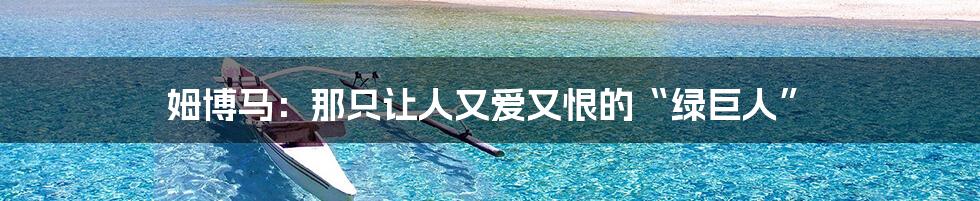 姆博马:那只让人又爱又恨的“绿巨人”