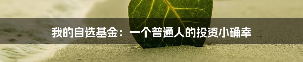 我的自选基金:一个普通人的投资小确幸