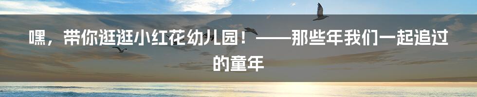 嘿,带你逛逛小红花幼儿园!——那些年我们一起追过的童年