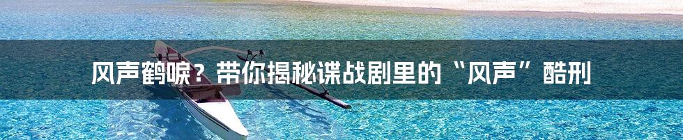 风声鹤唳?带你揭秘谍战剧里的“风声”酷刑
