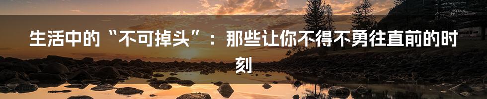 生活中的“不可掉头”:那些让你不得不勇往直前的时刻