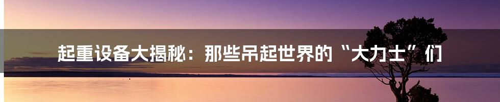 起重设备大揭秘:那些吊起世界的“大力士”们
