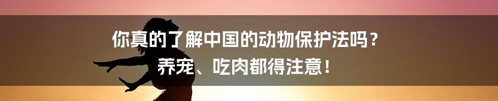 你真的了解中国的动物保护法吗？ 养宠、吃肉都得注意！