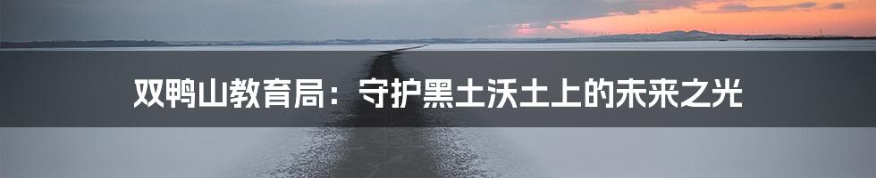 双鸭山教育局:守护黑土沃土上的未来之光