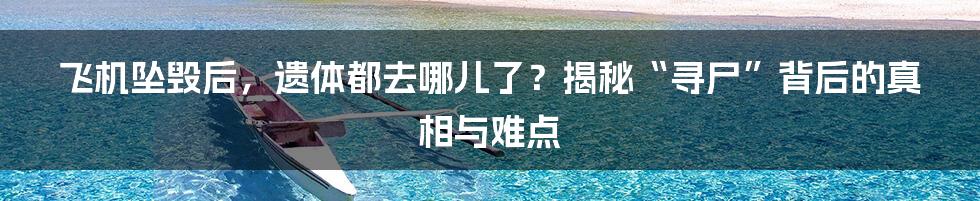 飞机坠毁后,遗体都去哪儿了?揭秘“寻尸”背后的真相与难点