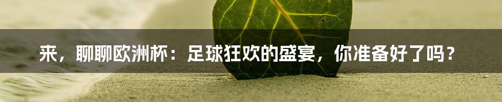来，聊聊欧洲杯：足球狂欢的盛宴，你准备好了吗？