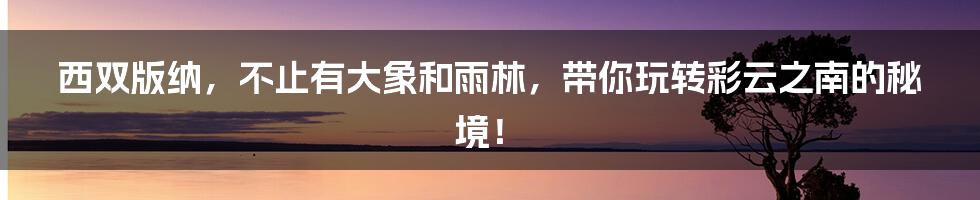 西双版纳，不止有大象和雨林，带你玩转彩云之南的秘境！