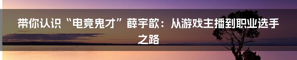 带你认识“电竞鬼才”薛宇歆:从游戏主播到职业选手之路