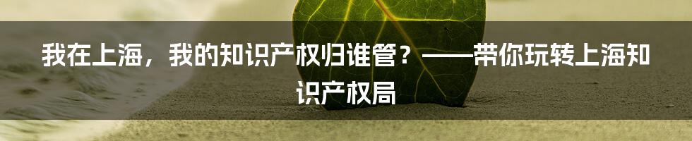 我在上海，我的知识产权归谁管？——带你玩转上海知识产权局