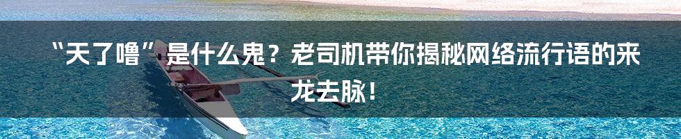 “天了噜”是什么鬼?老司机带你揭秘网络流行语的来龙去脉!