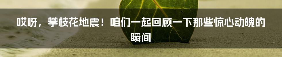 哎呀,攀枝花地震!咱们一起回顾一下那些惊心动魄的瞬间